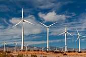 Rows of windmills on a wind farm