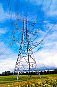 Electricity pylon in Scotland