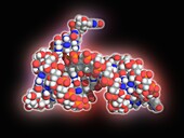Dengue virus RNA stemloop A, molecular model