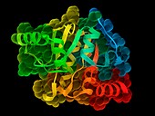 SARS-CoV-2 nonstructural protein 3, molecular model