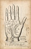 Palmistry chart of the right hand, illustration