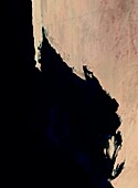 Mauritanian coast, satellite image