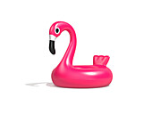 Pink flamingo, illustration