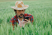 Farmer photographing wheat crop