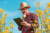 Farmer using tablet in rapeseed field