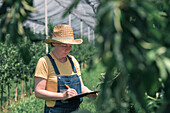 Farmer writing production notes in apple orchard