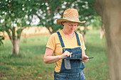 Farmer using digital tablet in walnut orchard