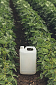 Herbicide canister in soybean crop