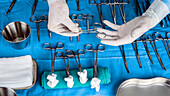 Gloved hands holding surgical forceps