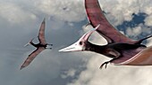 Artwork of Pteranodon longiceps