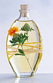 Bottle of safflower oil, sprig of thistle with thistle blossom