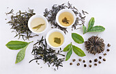 Verschiedene Sorten grüne Teeblätter aus Japan und China