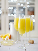 Cocktail Mimosa mit Champagner und Orangensaft