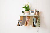 DIY hanging shelf with plants and books