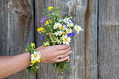 Bouquet of meadow flowers in hands in front of wooden wall