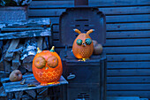 Owls made from pumpkins as decoration in the garden