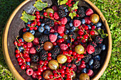 Bowl of fresh summer berries