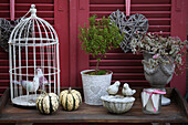 Arrangement of birdcage, ornamental pumpkins, small myrtle tree and stoneware ornaments