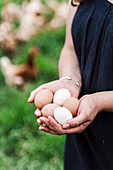 Fresh chicken eggs in the hands of a woman