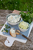 Assorted spreads with wild herbs and bread