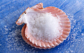 Sea salt in a scallop shell