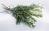 A bunch of rosemary on a white background