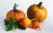 Two large and two small pumpkins