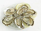 Plate with ice and oysters on a half shell