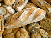Various Breads (Close Up)