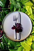 Empty ceramic plate with knife and fork on background made of green leaves, green gradient