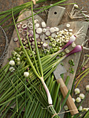 Spring onions on wooden board