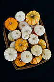 Various types of pumpkins arranged on black background