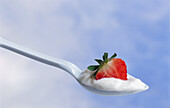 Löffel mit Joghurt und Erdbeere vor blauer Hintergrund