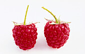 Two raspberries on a white background