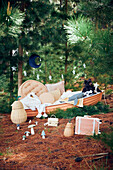 Boot mit Kissen und Teddybär und Köfferchen im Wald - Geschenkidee für Kinder