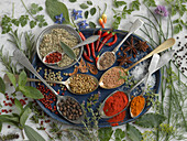 Still life with many different spices on spoons and herbs