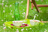 Tray with rice pudding and cherries on flower meadow