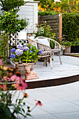 Hydrangeas in terracotta pots and rattan armchairs on wooden decking