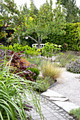 Winding gravel path through densely planted ornamental garden