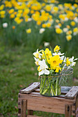 Bouquet with daffodils in glass vase on wooden stool, spring