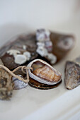 Muschel an einer Schnur mit Kieselsteinen