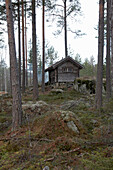Blockhaus im Wald von Svartadalen, Schweden