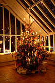 Beleuchteter Weihnachtsbaum mit eingepackten Geschenken in Wintergarten mit hohen Decken