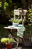 Topfpflanze und Spaten mit Holzklappstuhl im Garten in Lincolnshire, England, UK