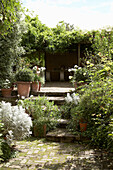 Plant pots at top of steps in garden with hedging