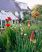 Außenansicht eines Landhauses mit Garten Kniphofia-Blumen, auch bekannt als Red Hot Poker