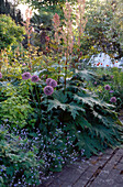 A detail of a garden flower border with Allium flowers also known as Flowering Onion paving