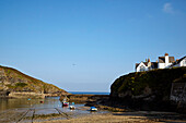 Blick auf den Hafen von Port Issac in Cornwall