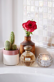 Rote Rose, Kaktus, Parfümflakon und Windlicht im Bad eines Bauernhauses in Kent, UK