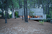 Modernes Betonhaus in einem Waldgebiet in Argentinien